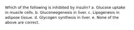 Which of the following is inhibited by insulin? a. Glucose uptake in muscle cells. b. Gluconeogenesis in liver. c. Lipogenesis in adipose tissue. d. Glycogen synthesis in liver. e. None of the above are correct.