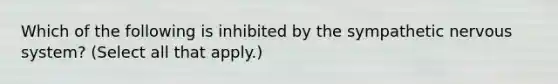 Which of the following is inhibited by the sympathetic nervous system? (Select all that apply.)