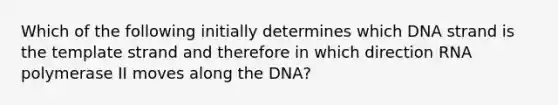 Which of the following initially determines which DNA strand is the template strand and therefore in which direction RNA polymerase II moves along the DNA?