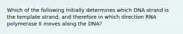 Which of the following initially determines which DNA strand is the template strand, and therefore in which direction RNA polymerase II moves along the DNA?