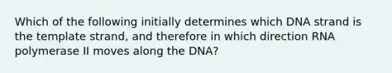 Which of the following initially determines which DNA strand is the template strand, and therefore in which direction RNA polymerase II moves along the DNA?