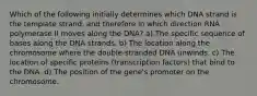 Which of the following initially determines which DNA strand is the template strand, and therefore in which direction RNA polymerase II moves along the DNA? a) The specific sequence of bases along the DNA strands. b) The location along the chromosome where the double-stranded DNA unwinds. c) The location of specific proteins (transcription factors) that bind to the DNA. d) The position of the gene's promoter on the chromosome.