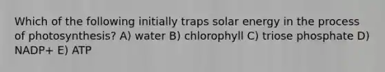 Which of the following initially traps solar energy in the process of photosynthesis? A) water B) chlorophyll C) triose phosphate D) NADP+ E) ATP