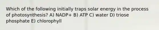 Which of the following initially traps solar energy in the process of photosynthesis? A) NADP+ B) ATP C) water D) triose phosphate E) chlorophyll