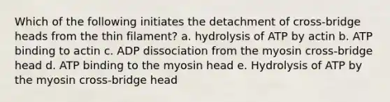 Which of the following initiates the detachment of cross-bridge heads from the thin filament? a. hydrolysis of ATP by actin b. ATP binding to actin c. ADP dissociation from the myosin cross-bridge head d. ATP binding to the myosin head e. Hydrolysis of ATP by the myosin cross-bridge head