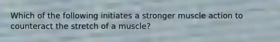 Which of the following initiates a stronger muscle action to counteract the stretch of a muscle?