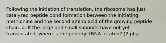 Following the initiation of translation, the ribosome has just catalyzed peptide bond formation between the initiating methionine and the second amino acid of the growing peptide chain. a. If the large and small subunits have not yet translocated, where is the peptidyl tRNA located? (2 pts)