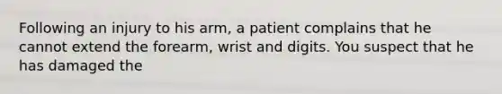 Following an injury to his arm, a patient complains that he cannot extend the forearm, wrist and digits. You suspect that he has damaged the