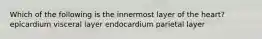 Which of the following is the innermost layer of the heart? epicardium visceral layer endocardium parietal layer