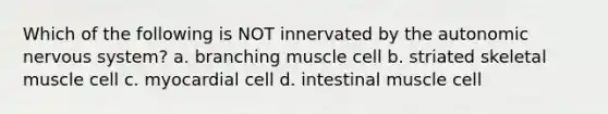 Which of the following is NOT innervated by the autonomic nervous system? a. branching muscle cell b. striated skeletal muscle cell c. myocardial cell d. intestinal muscle cell