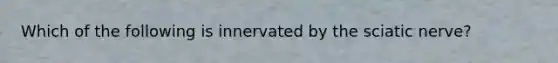 Which of the following is innervated by the sciatic nerve?
