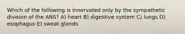 Which of the following is innervated only by the sympathetic division of the ANS? A) heart B) digestive system C) lungs D) esophagus E) sweat glands