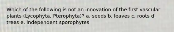 Which of the following is not an innovation of the first <a href='https://www.questionai.com/knowledge/kbaUXKuBoK-vascular-plants' class='anchor-knowledge'>vascular plants</a> (Lycophyta, Pterophyta)? a. seeds b. leaves c. roots d. trees e. independent sporophytes