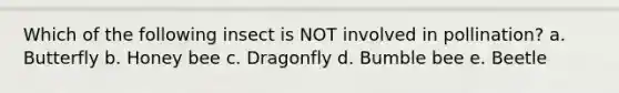 Which of the following insect is NOT involved in pollination? a. Butterfly b. Honey bee c. Dragonfly d. Bumble bee e. Beetle