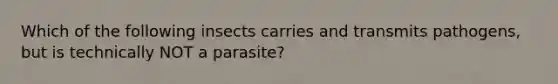 Which of the following insects carries and transmits pathogens, but is technically NOT a parasite?