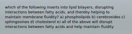 which of the following inserts into lipid bilayers, disrupting interactions between fatty acids, and thereby helping to maintain membrane fluidity? a) phospholipids b) cerebrosides c) sphingosines d) cholesterol e) all of the above will disrupt interactions between fatty acids and help maintain fluidity