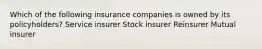 Which of the following insurance companies is owned by its policyholders? Service insurer Stock insurer Reinsurer Mutual insurer