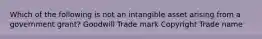 Which of the following is not an intangible asset arising from a government grant? Goodwill Trade mark Copyright Trade name