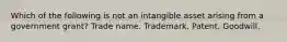 Which of the following is not an intangible asset arising from a government grant? Trade name. Trademark. Patent. Goodwill.