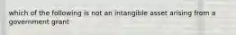 which of the following is not an intangible asset arising from a government grant