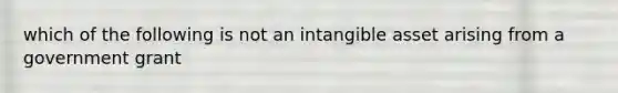 which of the following is not an intangible asset arising from a government grant