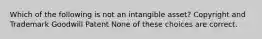 Which of the following is not an intangible asset? Copyright and Trademark Goodwill Patent None of these choices are correct.