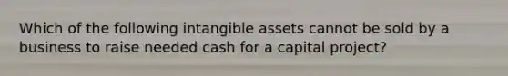 Which of the following intangible assets cannot be sold by a business to raise needed cash for a capital project?