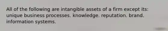 All of the following are intangible assets of a firm except its: unique business processes. knowledge. reputation. brand. information systems.