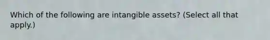 Which of the following are <a href='https://www.questionai.com/knowledge/kfaeAOzavC-intangible-assets' class='anchor-knowledge'>intangible assets</a>? (Select all that apply.)