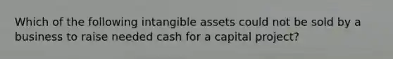 Which of the following intangible assets could not be sold by a business to raise needed cash for a capital project?