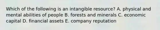 Which of the following is an intangible resource? A. physical and mental abilities of people B. forests and minerals C. economic capital D. financial assets E. company reputation