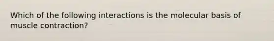 Which of the following interactions is the molecular basis of muscle contraction?