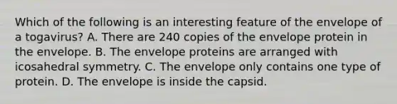 Which of the following is an interesting feature of the envelope of a togavirus? A. There are 240 copies of the envelope protein in the envelope. B. The envelope proteins are arranged with icosahedral symmetry. C. The envelope only contains one type of protein. D. The envelope is inside the capsid.