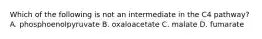 Which of the following is not an intermediate in the C4 pathway? A. phosphoenolpyruvate B. oxaloacetate C. malate D. fumarate