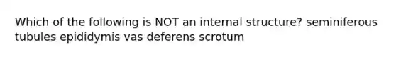 Which of the following is NOT an internal structure? seminiferous tubules epididymis vas deferens scrotum