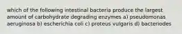 which of the following intestinal bacteria produce the largest amount of carbohydrate degrading enzymes a) pseudomonas aeruginosa b) escherichia coli c) proteus vulgaris d) bacteriodes