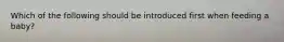 Which of the following should be introduced first when feeding a baby?