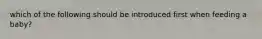 which of the following should be introduced first when feeding a baby?