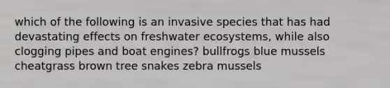 which of the following is an invasive species that has had devastating effects on freshwater ecosystems, while also clogging pipes and boat engines? bullfrogs blue mussels cheatgrass brown tree snakes zebra mussels