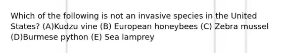 Which of the following is not an invasive species in the United States? (A)Kudzu vine (B) European honeybees (C) Zebra mussel (D)Burmese python (E) Sea lamprey
