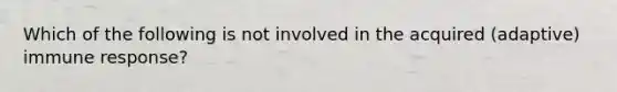 Which of the following is not involved in the acquired (adaptive) immune response?