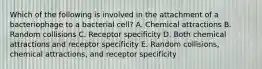 Which of the following is involved in the attachment of a bacteriophage to a bacterial cell? A. Chemical attractions B. Random collisions C. Receptor specificity D. Both chemical attractions and receptor specificity E. Random collisions, chemical attractions, and receptor specificity