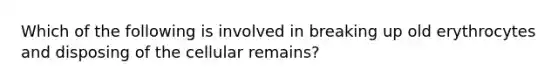 Which of the following is involved in breaking up old erythrocytes and disposing of the cellular remains?