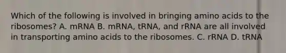 Which of the following is involved in bringing <a href='https://www.questionai.com/knowledge/k9gb720LCl-amino-acids' class='anchor-knowledge'>amino acids</a> to the ribosomes? A. mRNA B. mRNA, tRNA, and rRNA are all involved in transporting amino acids to the ribosomes. C. rRNA D. tRNA