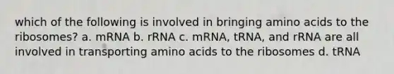 which of the following is involved in bringing <a href='https://www.questionai.com/knowledge/k9gb720LCl-amino-acids' class='anchor-knowledge'>amino acids</a> to the ribosomes? a. mRNA b. rRNA c. mRNA, tRNA, and rRNA are all involved in transporting amino acids to the ribosomes d. tRNA