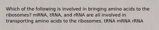 Which of the following is involved in bringing <a href='https://www.questionai.com/knowledge/k9gb720LCl-amino-acids' class='anchor-knowledge'>amino acids</a> to the ribosomes? mRNA, tRNA, and rRNA are all involved in transporting amino acids to the ribosomes. tRNA mRNA rRNA