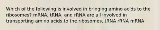 Which of the following is involved in bringing amino acids to the ribosomes? mRNA, tRNA, and rRNA are all involved in transporting amino acids to the ribosomes. tRNA rRNA mRNA