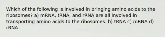 Which of the following is involved in bringing <a href='https://www.questionai.com/knowledge/k9gb720LCl-amino-acids' class='anchor-knowledge'>amino acids</a> to the ribosomes? a) mRNA, tRNA, and rRNA are all involved in transporting amino acids to the ribosomes. b) tRNA c) mRNA d) rRNA