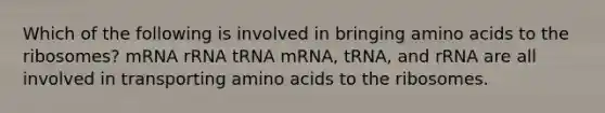 Which of the following is involved in bringing <a href='https://www.questionai.com/knowledge/k9gb720LCl-amino-acids' class='anchor-knowledge'>amino acids</a> to the ribosomes? mRNA rRNA tRNA mRNA, tRNA, and rRNA are all involved in transporting amino acids to the ribosomes.