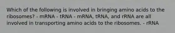 Which of the following is involved in bringing amino acids to the ribosomes? - mRNA - tRNA - mRNA, tRNA, and rRNA are all involved in transporting amino acids to the ribosomes. - rRNA